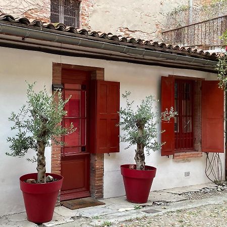 Petite Chartreuse Calme En Plein Coeur De Toulouse Apartamento Exterior foto