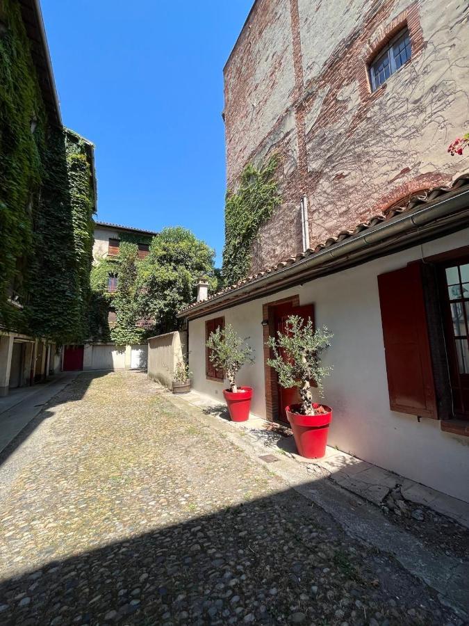 Petite Chartreuse Calme En Plein Coeur De Toulouse Apartamento Exterior foto