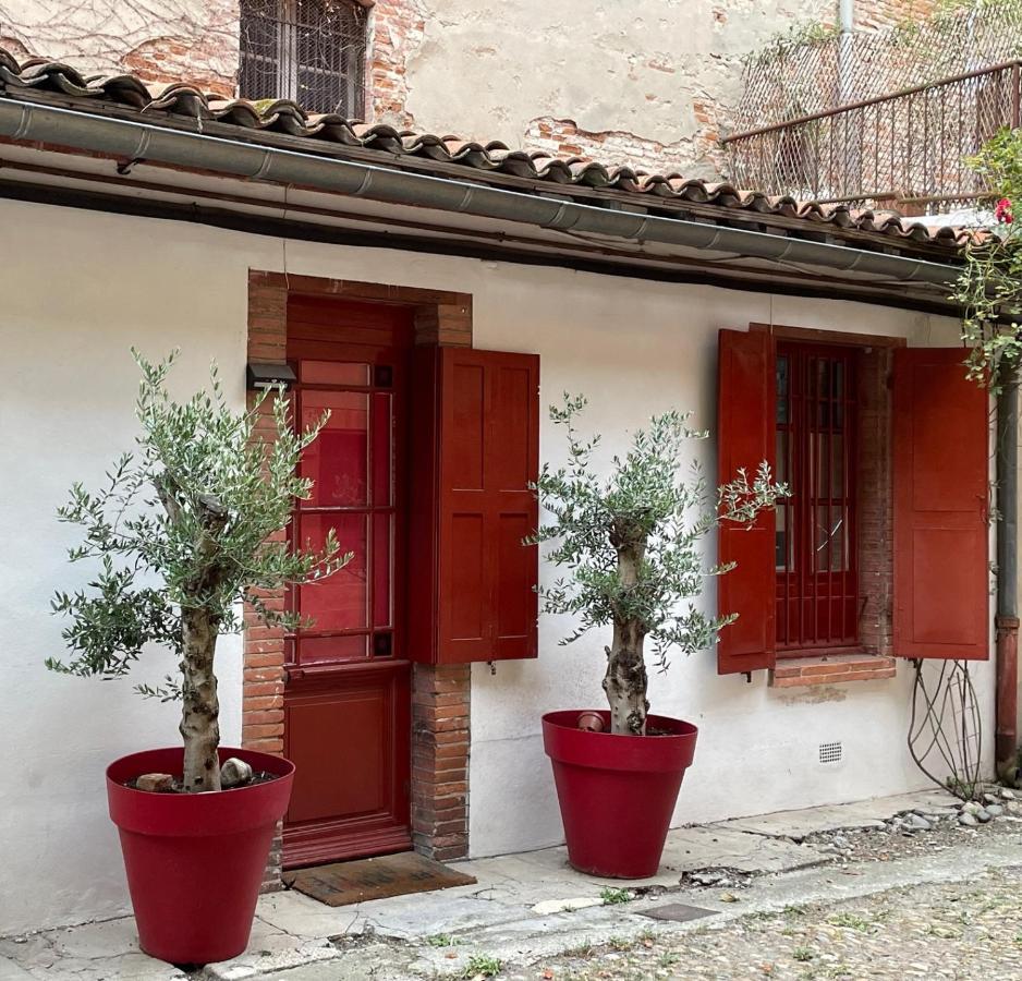 Petite Chartreuse Calme En Plein Coeur De Toulouse Apartamento Exterior foto